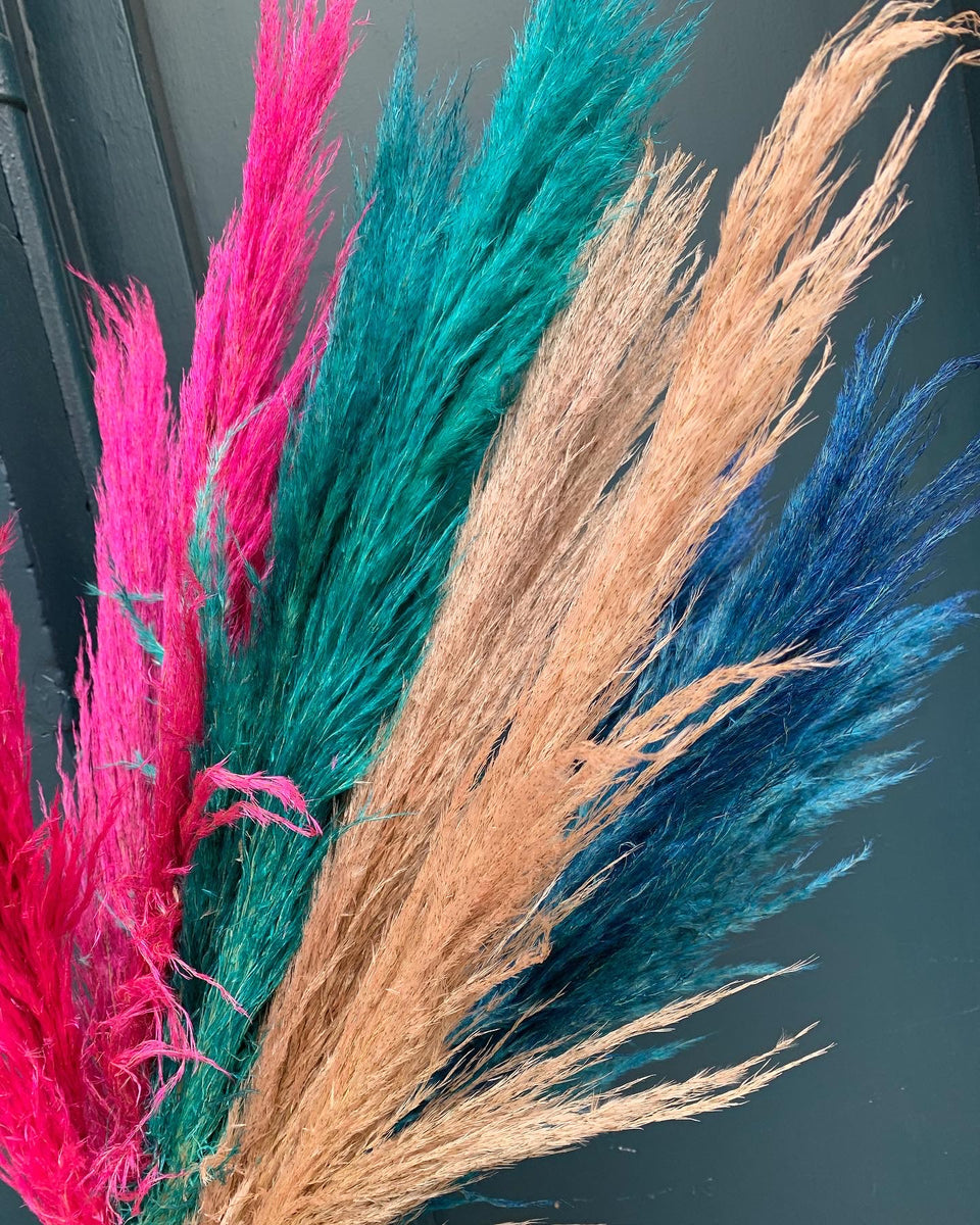 Pampas Grass Tagged "Pampas Grass" Lorraine Graham Flowers